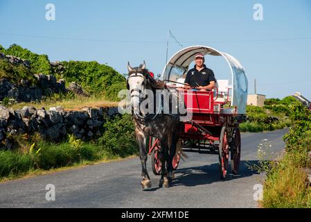 Inishmore, Irlanda, 5 giugno 2024. Cavalli e carrozze sulle isole aran, Inishmore, Irlanda Foto Stock