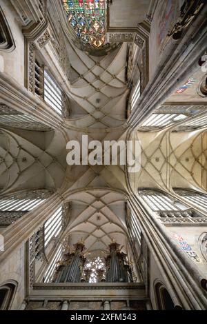 Castello di Praga, cattedrale metropolitana gotica dei Santi Vito, Venceslao e Adalberto, soffitto a croce, Praga, Repubblica Ceca Foto Stock