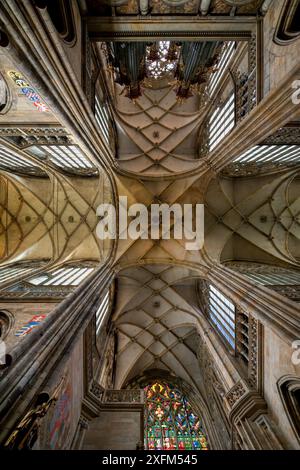 Castello di Praga, cattedrale metropolitana gotica dei Santi Vito, Venceslao e Adalberto, soffitto a croce, Praga, Repubblica Ceca Foto Stock