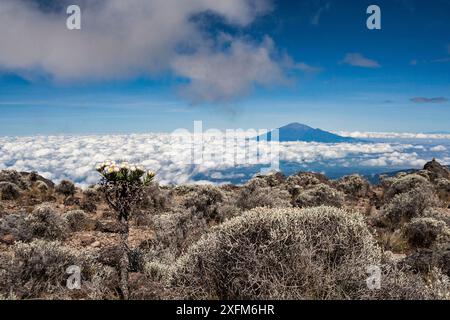 Mount Meru come visto dal Monte Kilimanjaro, Tanzania. Maggio 2008 Foto Stock