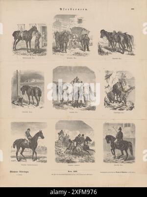 Litografia d'epoca di razze equine, 1865 il Meclemburgo è un cavallo a sangue caldo allevato nella regione del Meclemburgo-Vorpommern. Il cavallo fiammingo, noto anche come cavallo belga (US) o cavallo delle Fiandre, olandese: Vlaams Paard, francese: Cheval Flamand, è un cavallo da tiro di razza belga originario delle Fiandre, in Belgio. Il Nonius è una razza equina ungherese che prende il nome dalla sua fondazione anglo-normanna. Generalmente di colore scuro, è una razza muscolosa e con un osso pesante. Il cavallo arabo o arabo è una razza di cavallo con radici storiche nella penisola arabica. I purosangue sono considerati cavalli a sangue caldo Foto Stock