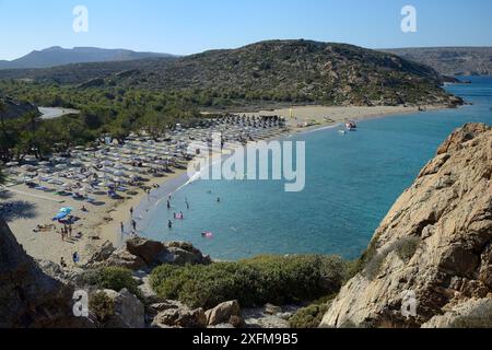 Panoramica della spiaggia di Vai e la sua data di cretese Palm (Phoenix theophrasti) foresta nel picco della stagione turistica, Lassithi, Creta, Grecia, Luglio. Foto Stock