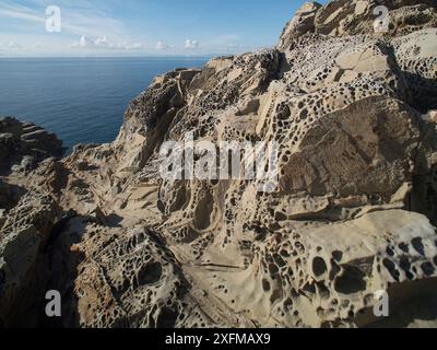 Honeycomb erosion in sandstone - sometimes called 'Tafoni'. They are caused by the evaporation of salt water - the salt crystals then loosen sandstone Stock Photo