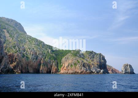 Capo Rosso / Capo Rosso promontorio di granito rosso all'estremità meridionale del Golfo di Porto, parte di un patrimonio naturale dell'umanità dell'UNESCO all'interno del Parco Nazionale della Corsica (Parc Naturel Regional de Corse), vicino a piana, Corsica, Francia, maggio 2010. Foto Stock