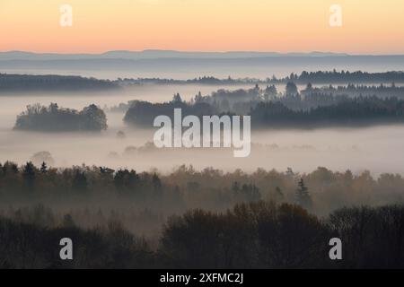 Nebbia di mattina su campagna, Vosges, Francia, Novembre. Foto Stock