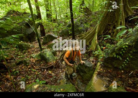 Escursione Russell Laman nella foresta pluviale, nel parco nazionale Gunung Palung, Borneo. Agosto 2010 rilasciato il modello. Foto Stock