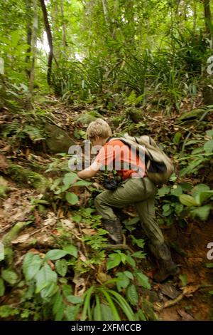 Escursione Russell nella foresta pluviale tropicale, nel parco nazionale Gunung Palung, Borneo. Foto Stock