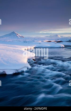 Myvatn a Alba, nord est Islanda, marzo 2016. Foto Stock