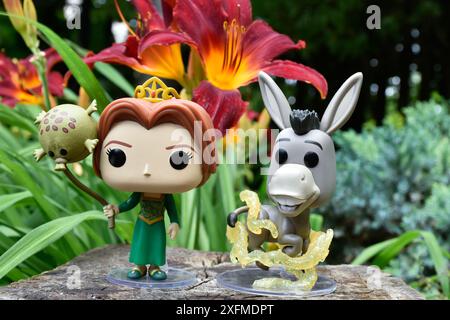 Funko Pop action figure della principessa Fiona e Donkey del popolare film d'animazione Shrek. Foresta delle fate, ceppi di alberi, fiori d'arancio, personaggi favolosi. Foto Stock