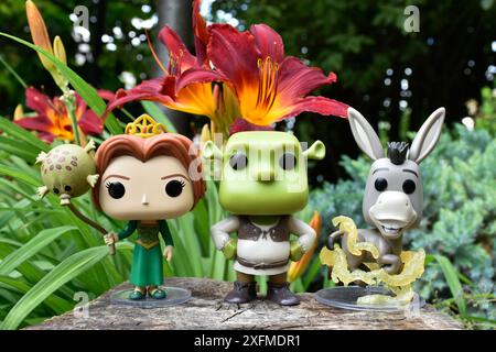 Funko Pop action figure della principessa Fiona, orco Shrek e asino del popolare film d'animazione. Foresta favolosa, ceppo d'albero, fiori d'arancio. Foto Stock