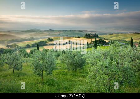 Villa Casanova e la Val d'Orcia all'alba, Toscana, Italia, Giugno 2016. Foto Stock