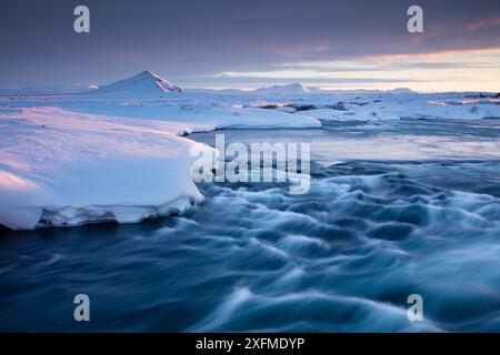 Myvatn a Alba, nord est Islanda, marzo 2016. Foto Stock