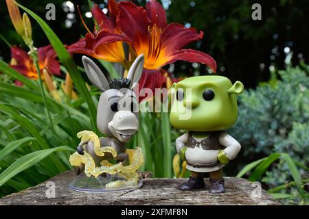 Funko Pop action figure di asino e orco Shrek dal popolare film d'animazione. Foresta delle fate, ceppi di alberi, fiori d'arancio, personaggi favolosi, amici. Foto Stock