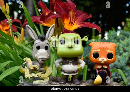 Funko Pop action figure di asino, orco Shrek e Gatto con gli stivali dal film d'animazione. Foresta delle fate, ceppi di alberi, fiori d'arancio, personaggi favolosi. Foto Stock