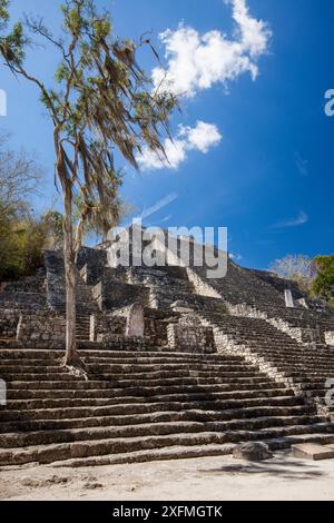 Struttura II (grande Piramide), una delle più grandi strutture Maya. Questa piramide del tempio è costruita su una piramide più piccola che risale al 400 a.C.-250 d.C. con estensioni successive aggiunte all'edificio, la riserva della biosfera di Calakmul, Campeche, Messico, marzo. Foto Stock