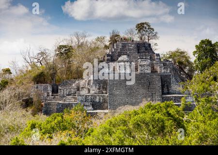 Struttura II (grande Piramide), una delle più grandi strutture Maya. Questa piramide del tempio è costruita su una piramide più piccola che risale al 400 a.C.-250 d.C. con estensioni successive aggiunte all'edificio, la riserva della biosfera di Calakmul, Campeche, Messico, marzo. Foto Stock