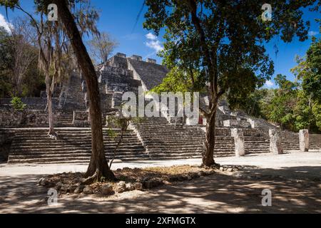 Struttura II (grande Piramide), una delle più grandi strutture Maya. Questa piramide del tempio è costruita su una piramide più piccola che risale al 400 a.C.-250 d.C. con estensioni successive aggiunte all'edificio, la riserva della biosfera di Calakmul, Campeche, Messico, marzo. Foto Stock