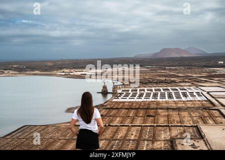 Una donna si trova su una collina che domina un grande specchio d'acqua e un deserto. La scena è serena e tranquilla, con la donna che gode di una splendida vista Foto Stock