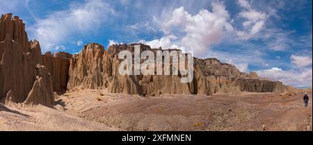 Aspro paesaggio, Bolivia. Dicembre 2016. Foto Stock