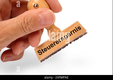 Steuerersparnis Ein Holzstempel ist bedruckt mit der Aufschrift: Steuersparnis *** risparmi fiscali Un timbro in legno è stampato con l'iscrizione Tax sa Foto Stock