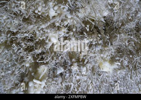 Stalattiti eccentriche, grotta El Soplao, Cantabria, Spagna, luglio 2016. Foto Stock