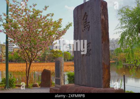 Shinobazu no ike (lago nenuphar di Shinobazu) nel parco di Ueno, Tokyo, Giappone Foto Stock