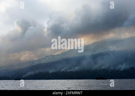 Fire inside the Tangkoko National Park. The fire lasted two weeks, until it was extinguished by a storm from the sea. Sulawesi, Indonesia, October 201 Stock Photo