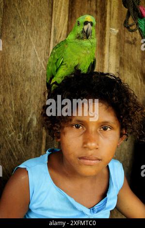 Ragazza con pappagallo pappagallo pannolino (Amazona auropalliata) appollaiata sulla testa, riserva della biosfera di Rio Platano e sito patrimonio dell'umanità dell'UNESCO, la Mosquitia, Honduras. Foto Stock