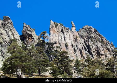 Montagne nella Valle Restonica vicino a Corte, Corsica, Francia, maggio 2016 Foto Stock