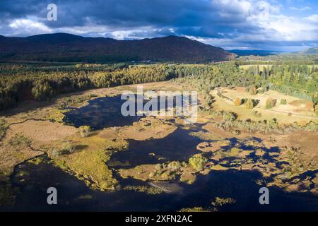 Bogach, una zona umida nella periferia di Aviemore, Cairngorms National Park, Scozia, Regno Unito, ottobre 2016. Foto Stock