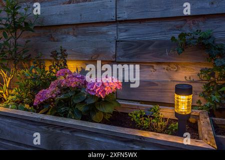 Piccola lanterna solare nella piantatrice. Lampada solare in giardino Foto Stock