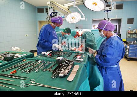 Bauchoperation im Hermann Josef Krankenhaus Erkelenz 28.06. 2024 operazione im Hermann Josef Kranke4nhaus Erkelenz. Unser Bild zeigt das Ärzte-Team während einer Bauchoperation. 28. 06. 2024 *** Chirurgia addominale presso Hermann Josef Krankenhaus Erkelenz 28 06 2024 Chirurgia presso Hermann Josef Kranke4nhaus Erkelenz la nostra immagine mostra il team medico durante la chirurgia addominale 28 06 2024 Foto Stock