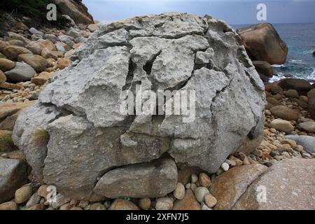 Masso di granito sulla costa, isola di Yakushima, sito patrimonio dell'umanità dell'UNESCO, Giappone. Foto Stock