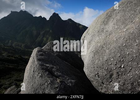 Massi di granito nella zona montuosa centrale dell'isola di Yakushima, sito patrimonio dell'umanità dell'UNESCO, Giappone. Foto Stock