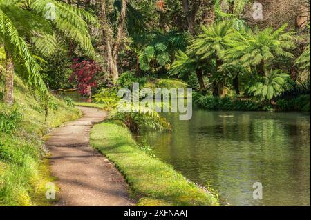 Paesaggio dall'atmosfera tranquilla del parco Terra nostra con laghetto riflettente, circondato dal verde verdeggiante di Sao Miguel e dal fascino tranquillo delle Azzorre. Foto Stock