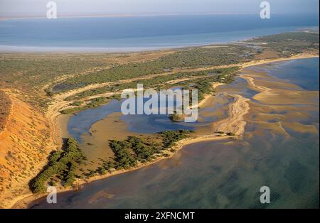 Guichenault Point a Herald Bight con mangrovie, Parco Nazionale Francois Peron, sito Patrimonio naturale dell'Umanità dell'UNESCO di Shark Bay, Australia Occidentale, Australia. Foto Stock