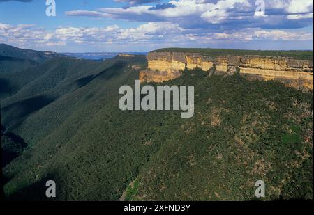 Kanangra Walls, Kanangra Boyd National Park, Greater Blue Mountains, Patrimonio naturale dell'Umanità dell'UNESCO, NSW, Australia. Foto Stock