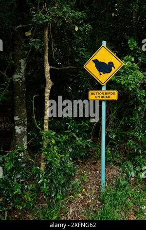 Cartello segnaletico di avvistamento per uccelli di montone/pelo di carne Shearwater (Puffinus carneipes) sulla strada, Lord Howe Island Group, patrimonio naturale dell'umanità dell'UNESCO, nuovo Galles del Sud, Australia. Ottobre. Foto Stock