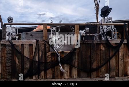 Scheletro umano bianco su carrozza di legno. Decorazione di Halloween. Foto Stock