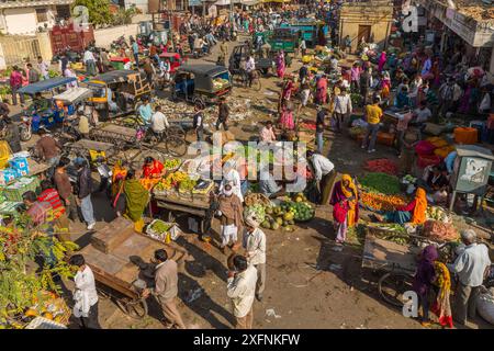 Mercato ortofrutticolo nella città vecchia, Jaipur, Rajasthan, India, subcontinente indiano, Asia. Foto Stock