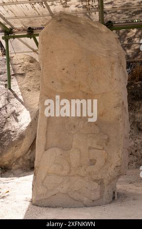 Sculture in rilievo BAS a Chalcatzingo, Messico. Arte olmeca del 1500 a.C.-500 a.C., pietra raffigurante un felino, probabilmente un giaguaro, sopra un umano. Foto Stock