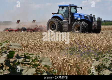 Un trattore erpica il campo durante la raccolta del grano in un'azienda agricola vicino a Zaporizhzhia. Quest'anno (2024), il raccolto lordo di cereali in Ucraina sarà di circa 60 milioni di tonnellate. A causa della guerra, gli agricoltori avevano meno risorse materiali, quindi il raccolto non sarà notevolmente aumentato. Questo (60 milioni di tonnellate) non sarà sufficiente per aumentare le esportazioni. Tale parere è stato espresso dal presidente della Confederazione agraria Ucraina, Leonid Kozachenko. Foto Stock