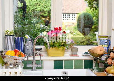 Finestra della cucina con vista sulle piante di pomodoro che crescono in un giardino di casa, la camera è luminosa e luminosa con ornamenti accanto alla finestra Foto Stock