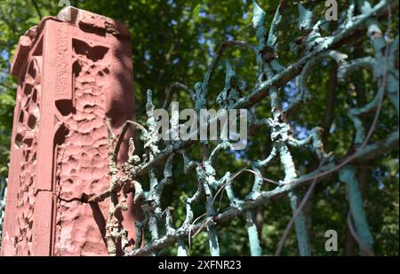 Non esclusiva: KIEV, UCRAINA - 30 GIUGNO 2024 - le vecchie griglie sono al cimitero di Baikove, Kiev, capitale dell'Ucraina. Foto Stock