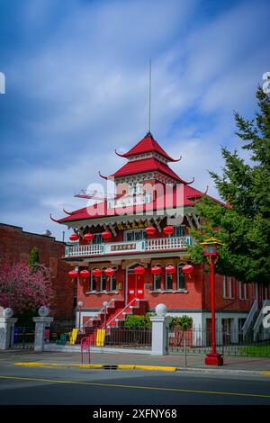 Heritage Chinese Public School, Chinatown, Victoria, British Columbia, Canada Foto Stock