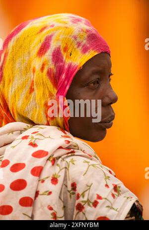 Tribù Ouled Rachid, villaggio Kashkasha vicino al parco nazionale di Zakouma, Ciad, 2010. Foto Stock