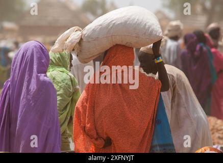 Ouled Rachid tribuna che porta un sacco sulla testa al mercato, villaggio di Kashkasha vicino al Parco Nazionale di Zakouma, Ciad, 2010. Foto Stock
