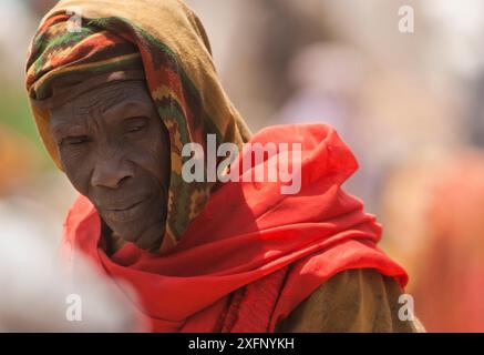 Tribù Ouled Rachid, villaggio Kashkasha vicino al parco nazionale di Zakouma, Ciad, 2010. Foto Stock