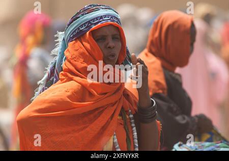 Ouled Rachid, tribù parlante, villaggio Kashkasha vicino al Parco Nazionale di Zakouma, Ciad, 2010. Foto Stock