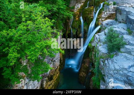 Cascata sul fiume Aso, canyon Anisclo, parco nazionale Ordesa y Monte Perdido, Pirenei, Aragona, Spagna, luglio Foto Stock